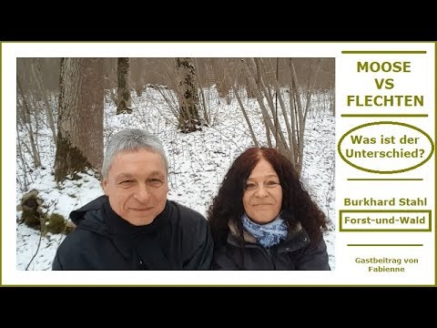 Sind Flechten echte Pflanzen? | MOOSE & FLECHTEN | Die immergrünen Lebenskünstler • GREEN FLEXIBLE •