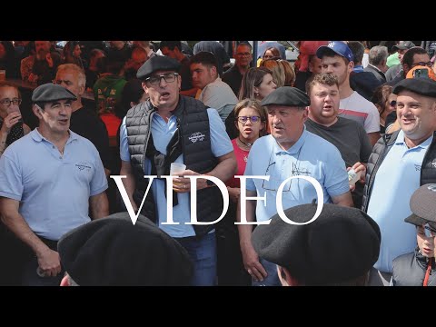 Le berger en vallée d'Aure