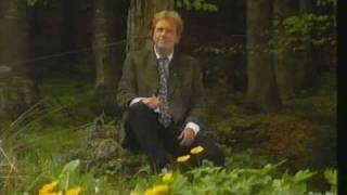 Günther Behrle - Und nichts als die Wahrheit (1996)