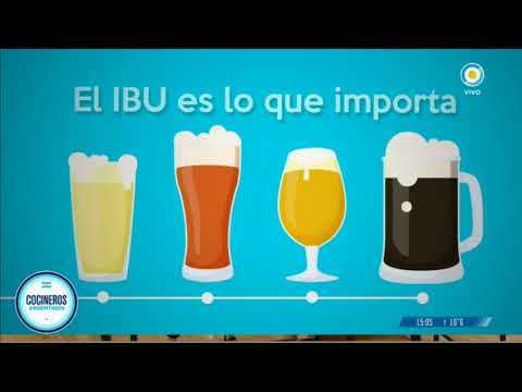 Las 5 cosas que tenés que saber sobre la cerveza