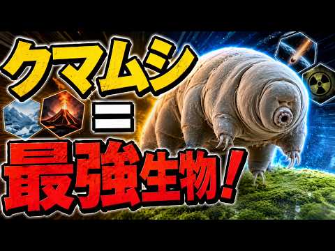 クマムシの秘密｜0.5ミリの微生物が絶対零度でも死なない理由