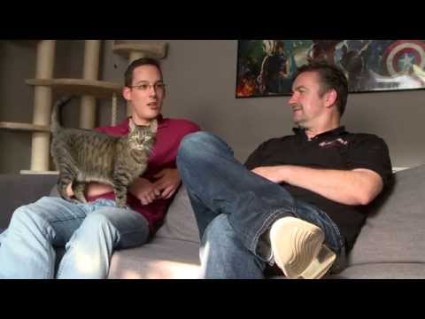 Das Heimkino von unserem Kunden Julian - da fühlt sich auch die Katze wohl!