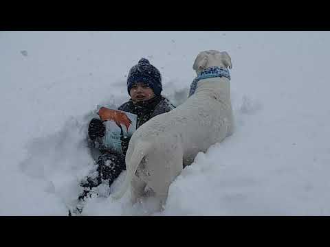 The Snow Knows by Jennifer McGrath