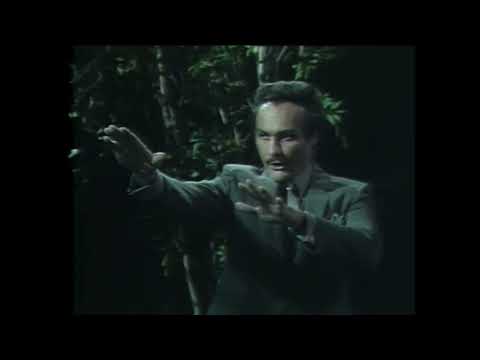 Return To 1968 - Video 66 - Nicholas Finds the Tree