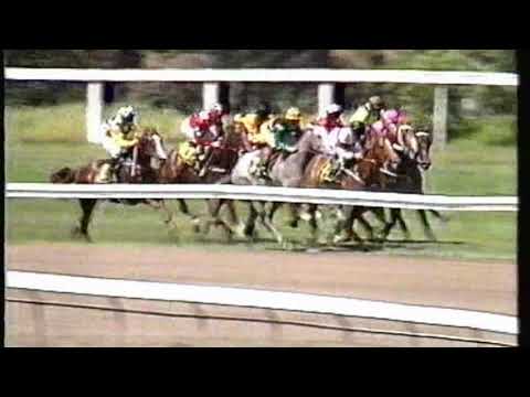 1993 Kindergarten Stakes - Bint Marscay
