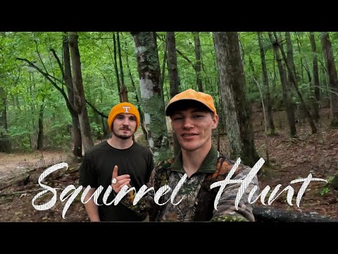 Springtime Squirrel Hunt with 20 Gauge – Nonstop Action in the Forest!