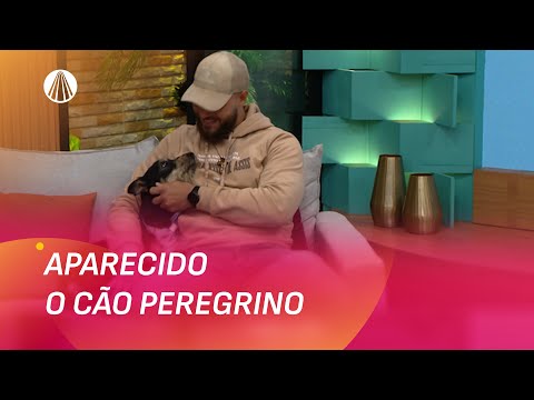 De Guarulhos até Aparecida: a caminhada onde nasceu uma amizade fiel | Viva a Tarde