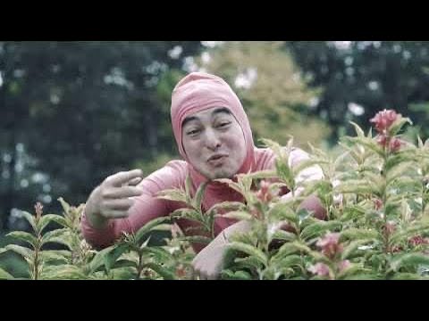 PINK GUY-STFU