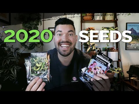 How to Transplant Seedlings My High Density Method