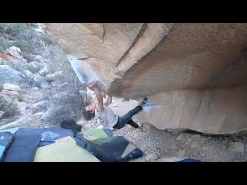 nicolas kato lewin en "Atlas Shrugged" v12