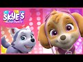 Thank You Mighty Pup Heroes Skye S Music Party PAW Patrol Music Cartoons For Kids
