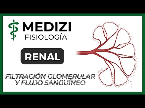 Renal Physiology - Glomerular filtration and renal blood flow (IG:@doctor.paiva)