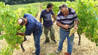 Thumbnail del capítulo