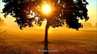 Reach Out To Jesus - Elvis Presley (Sottotitolato)