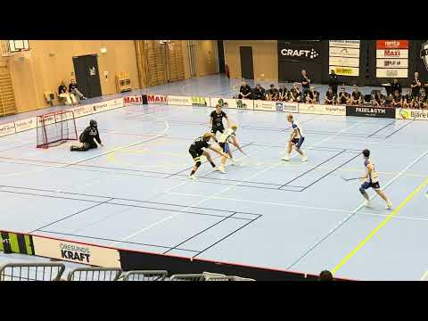 Herrar Div.1 Södra Götaland Åstorp/Kvidinge IBS - Olofström IBK 3-7