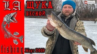 Ссылка