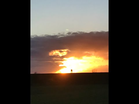 Opwekking 466 - Wandel in het Licht