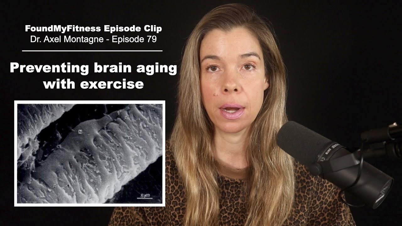 Preventing brain aging with exercise — why to workout vigorously | Axel Montagne, Ph.D.