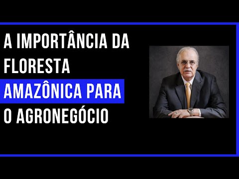 4.0 no Campo: A importância da Floresta Amazônica para o agronegócio