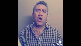 Amor de la calle... Vicente Fernández