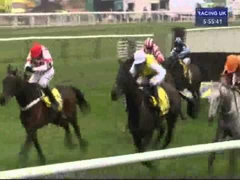 2012 Cheltenham Festival closer