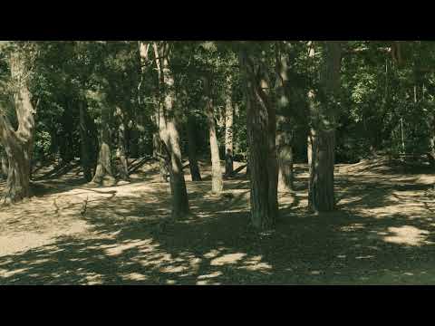 Video thumbnail for Flowers