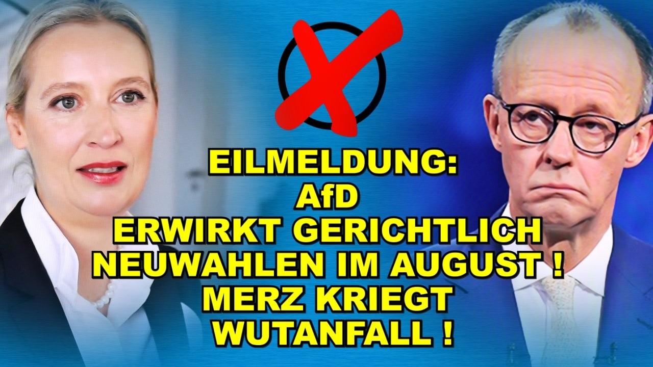 EIL: NEUWAHLEN im AUGUST! Merz TOBT!
