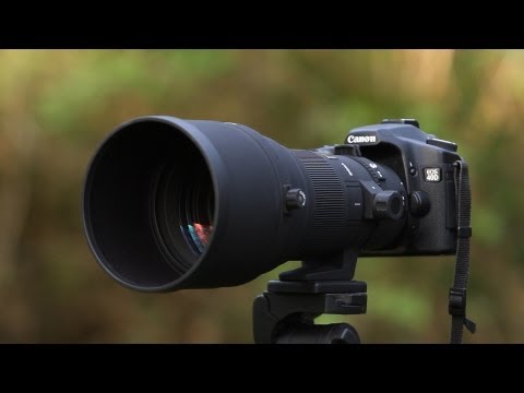download lagu mp3 mp4 Sigma 300mm F2 8 Vs Canon 300mm F2 8, download lagu Sigma 300mm F2 8 Vs Canon 300mm F2 8 gratis, unduh video klip Sigma 300mm F2 8 Vs Canon 300mm F2 8
