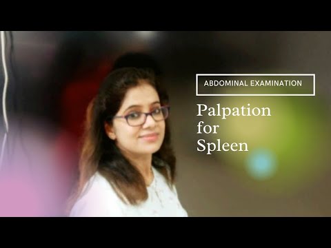 Palpation for spleen
