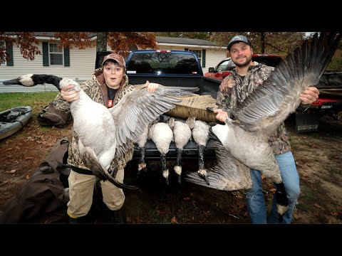 Ouverture du Minnesota Duck 2020 [Limite de deux oies]