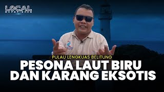 Menjelajah Surga Laut dengan Karang Eksotis yang Memukau