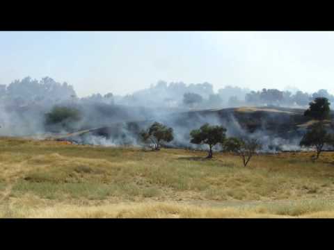 Park Eshkol Fire May 2015