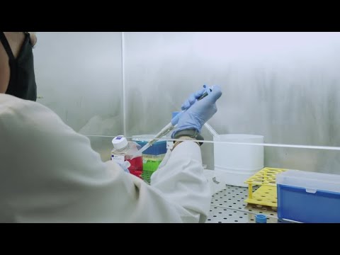 StemScale™ Customer Testimonial - Dr. Claudia Miranda, Univ. Lisbon