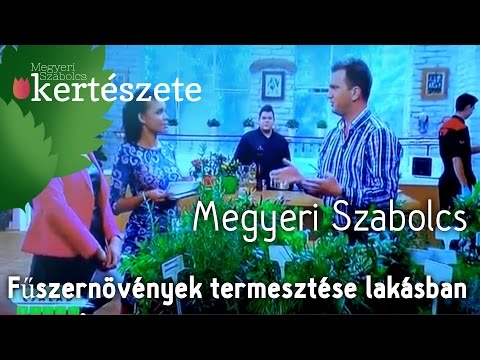 Papillomavírus fertőzés bőrrák