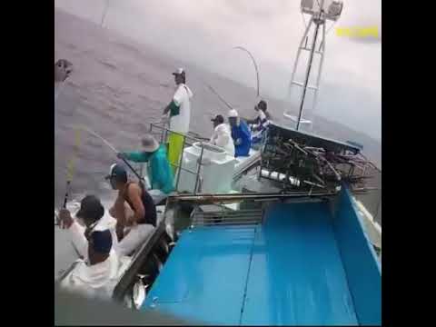 Amazing Fast Tuna Fishing Skill, Catching Fish Big on The Sea