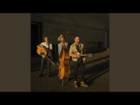 Wouldn't You Know - The pine hearts
