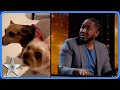 Kevon Carter has the Judges HOWLING with hilarious animal audition | BGTeaser | BGT 2024