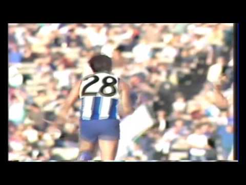 The greatest moment in Andrew Demetriou's Life - 1985 Elimination Final