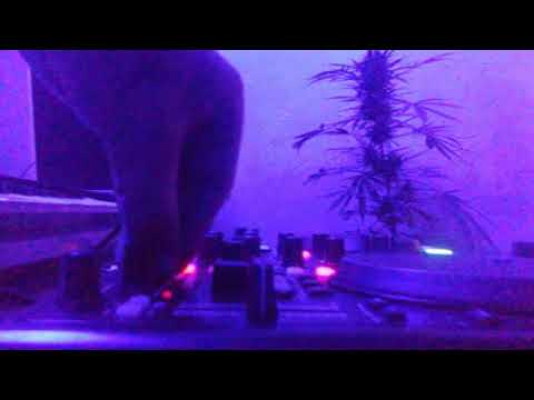 Psychedelic Techno - Perfect Trip - Sesión 001