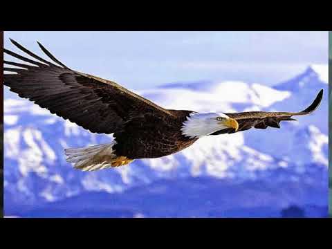 Lingkupiku (Disaat Badai Bergelora) -Lagu Rohani With Lirik