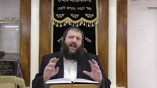 טעויות בחינוך של עשיו, האם היה יכול להיות אחרת? ממשנתו של רש"ר הירש זצ"ל עם הרב דוד משה בלוי