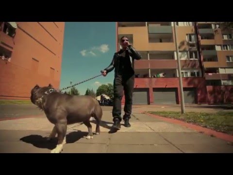 MEIDAY X BLACK D ( XVBARBAR ) -  DERNIER MOT