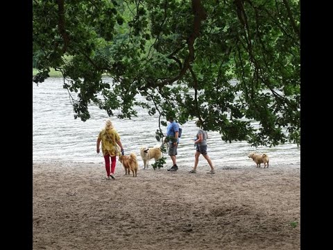 EKW Grunewald 05 07 20