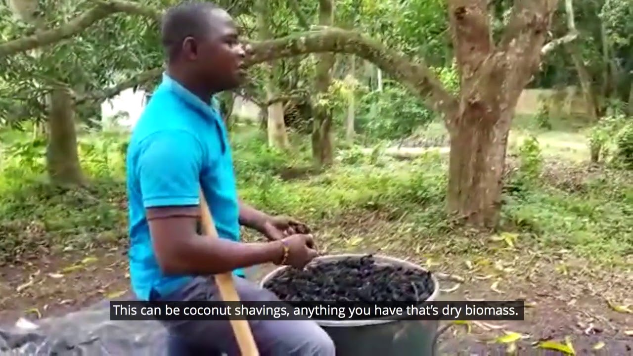 Meet Jean-Charles, an organic farmer from Togo 🇹🇬