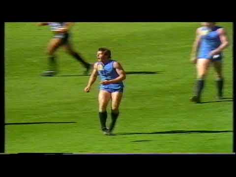 1988 Round 19 Sturt 15.16 106 d Port 15.15 105