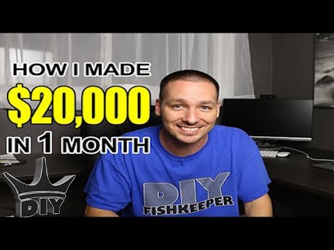 How I made $20,000 in 1 month from breeding aquarium Discus fish