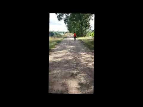 Beats by patrik - el patriko productions