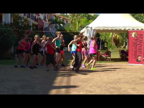 FUNtasiFabriken - FUNbreaks  Dansa pausa!