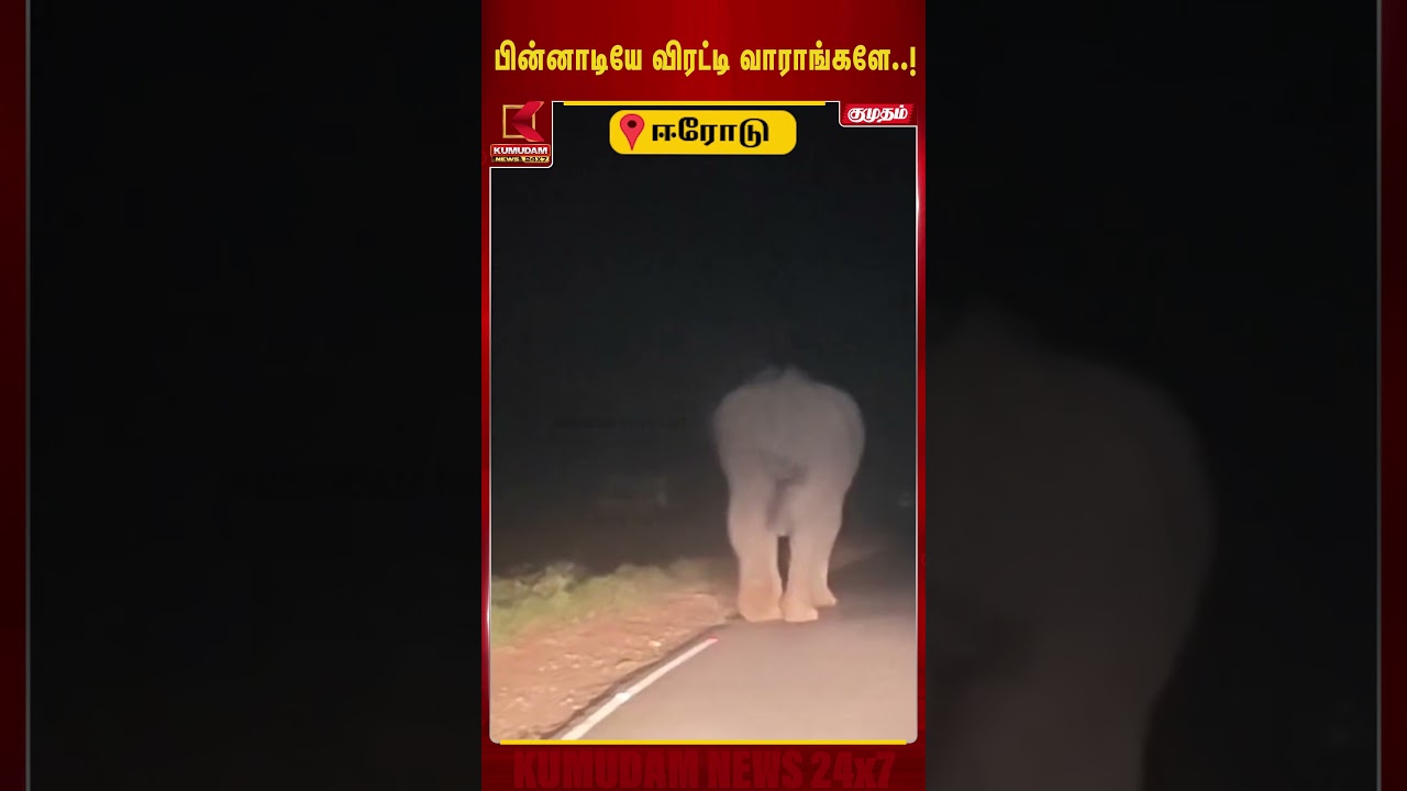 ஊருக்குள் நுழைந்த காட்டு யானை.. தார் சாலையில் குடுகுடுவென ஓடிய பரபரப்பு காட்சி! | Erode Elephant