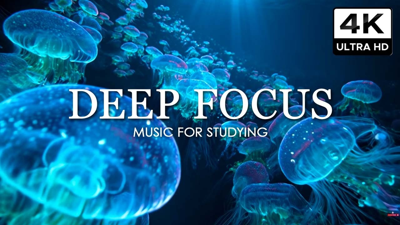 Deep Work Music for Concentration - 12 Hours of Ambient Study Music to Concentrate #60